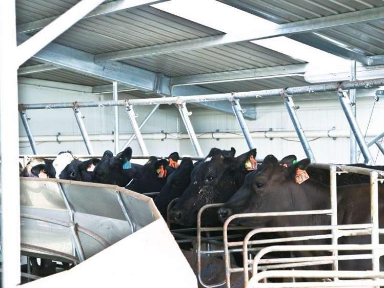 587 Eastern Road North Otago Surrounds_3