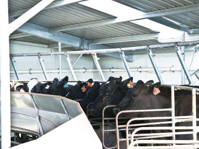 587 Eastern Road North Otago Surrounds_3