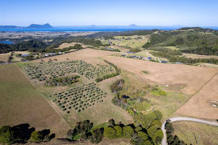 91 Keith Road and 587 Ormiston Road Ruakaka_10