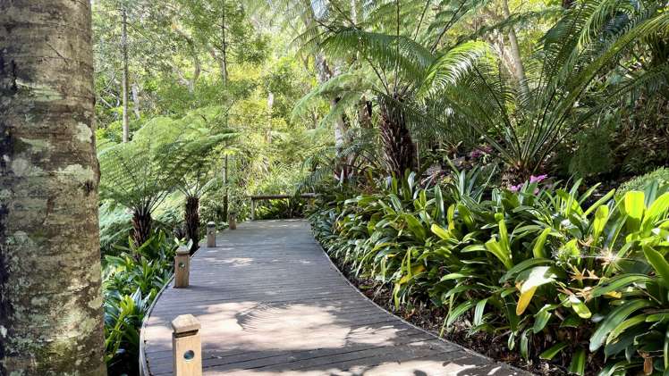 107 Hadfield Street Beach Haven_13