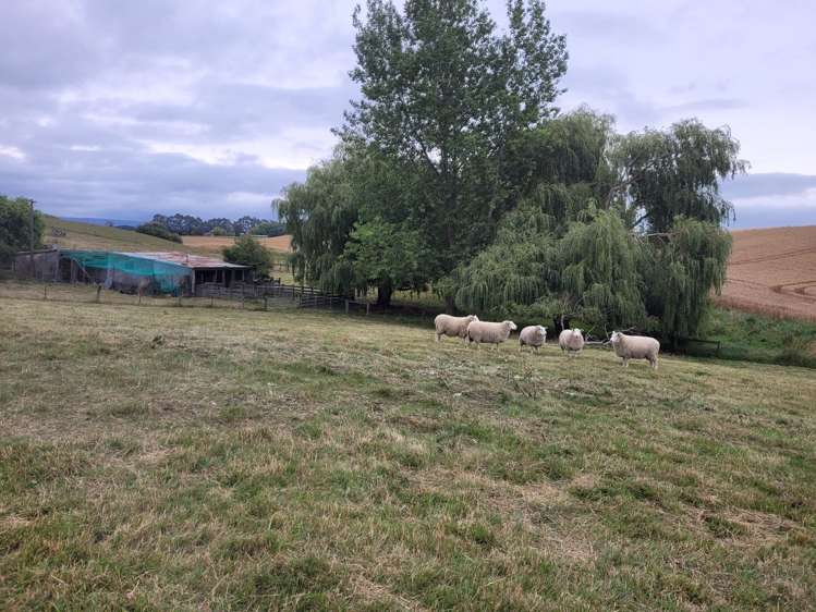 44 Woolshed Road Oamaru_33