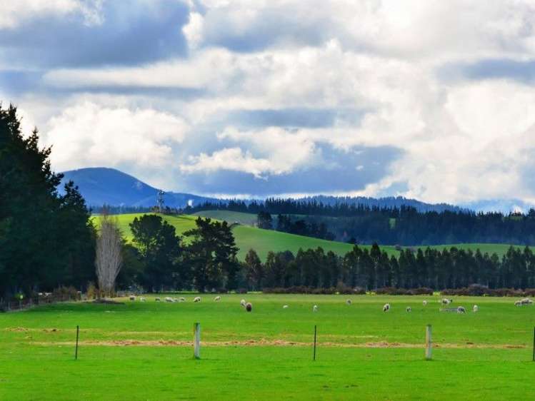 339 Hawkins Road Hororata_14