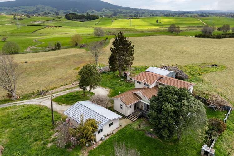 1/68 Patterson Road Pirongia_1