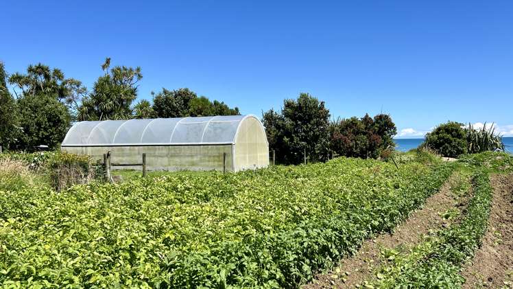 37 Nikau Road, State Highway 67 Hector_9