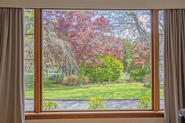 63 East Street Greytown_5