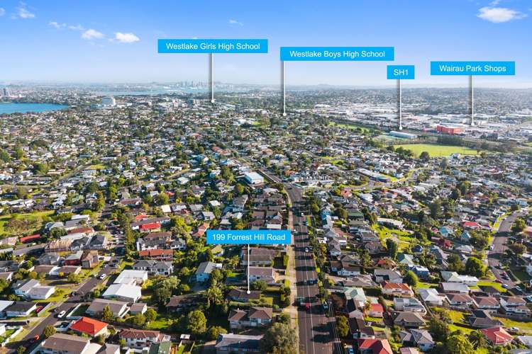 199 Forrest Hill Road Forrest Hill_16