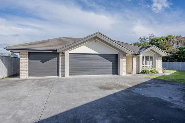 12 Ahmad Close Levin_1