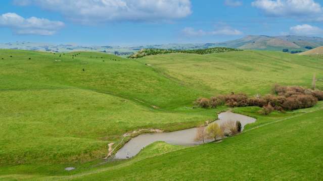 Serene Beauty: 139 Waiou Road, Waipukurau