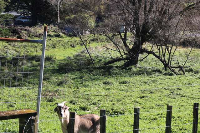 - Te Pohue Loop Road Te Pohue_4