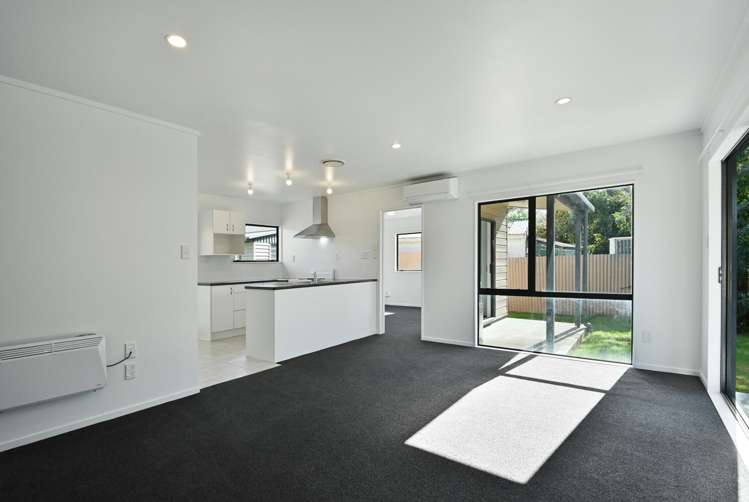 1216A Norfolk Crescent Mayfair_2