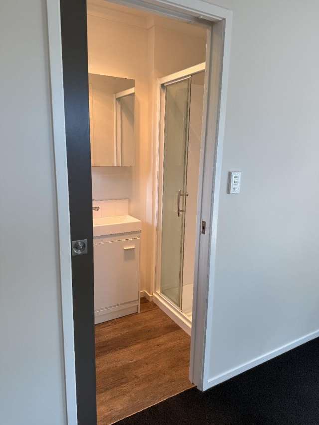 117a Nelson Crescent Napier South_4