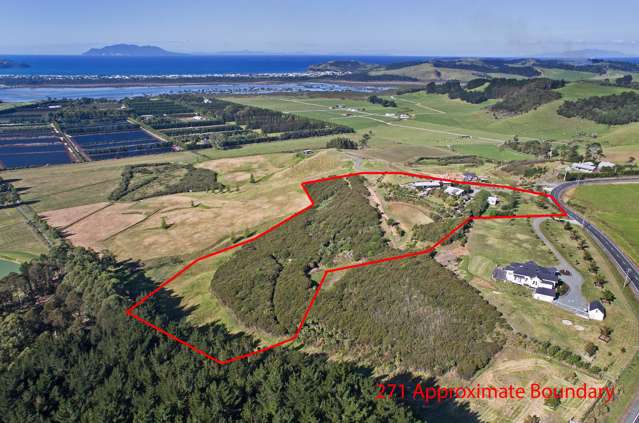 271 Takatu Road Tawharanui Peninsula_4