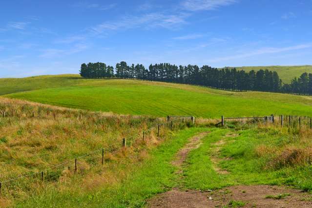 Fuchsia Creek Road Waitaki_1