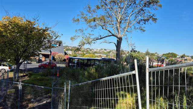 16 Fencible Drive Howick_4