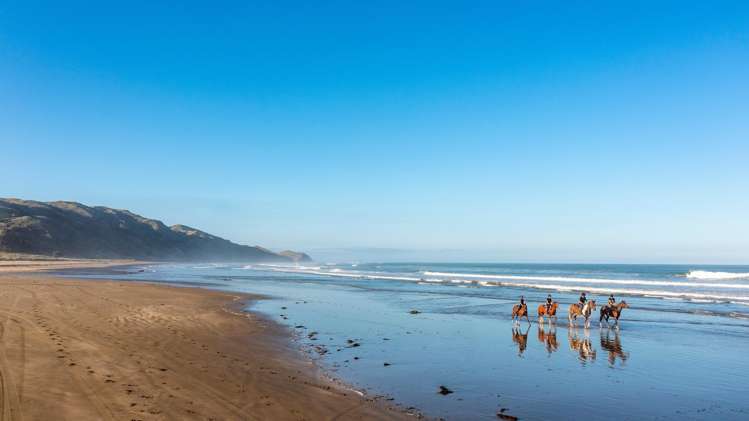 202 Pourerere Beach Road Central Hawkes Bay Coastal_6