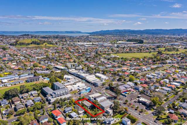 2 Keystone Avenue Mount Roskill_1