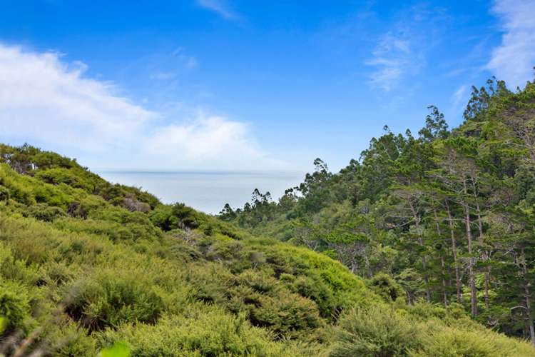 90 Lone Kauri Road Karekare_14
