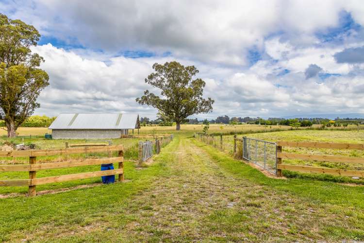 86 Hodgsons Road Loburn_23