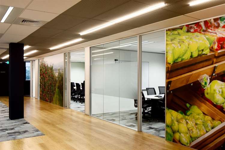 4 Henderson Place Onehunga_3