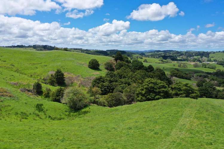 Lot/2 Wearmouth Road Paparoa_7