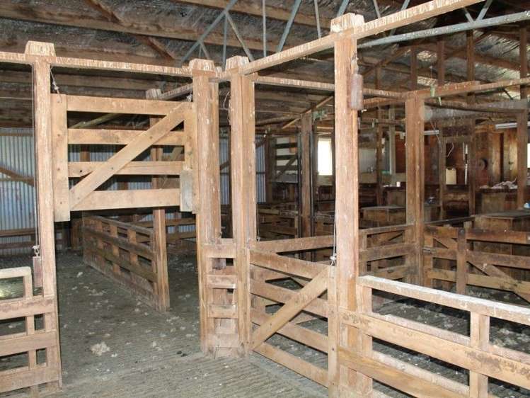 858 Oporae Road Weber_16