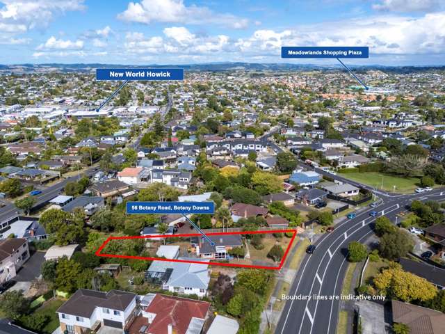 56 Botany Road Botany Downs_1