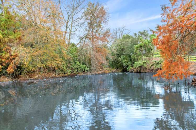 Woodlyn Drive Karaka_12