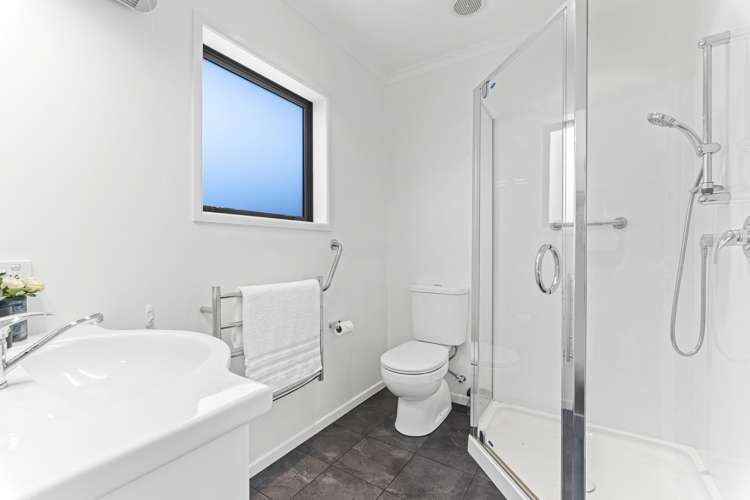 271a Carrington Street Vogeltown_13