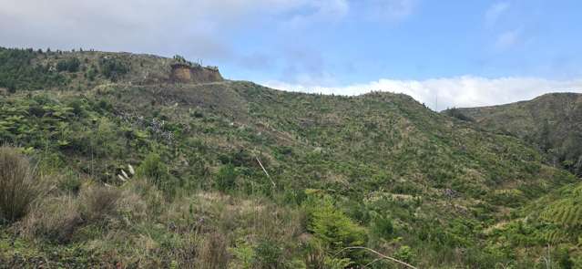 Junction Road Stratford_4