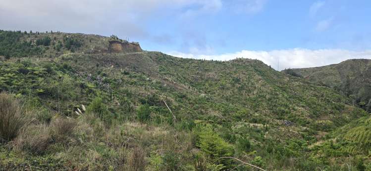 Junction Road Stratford_4