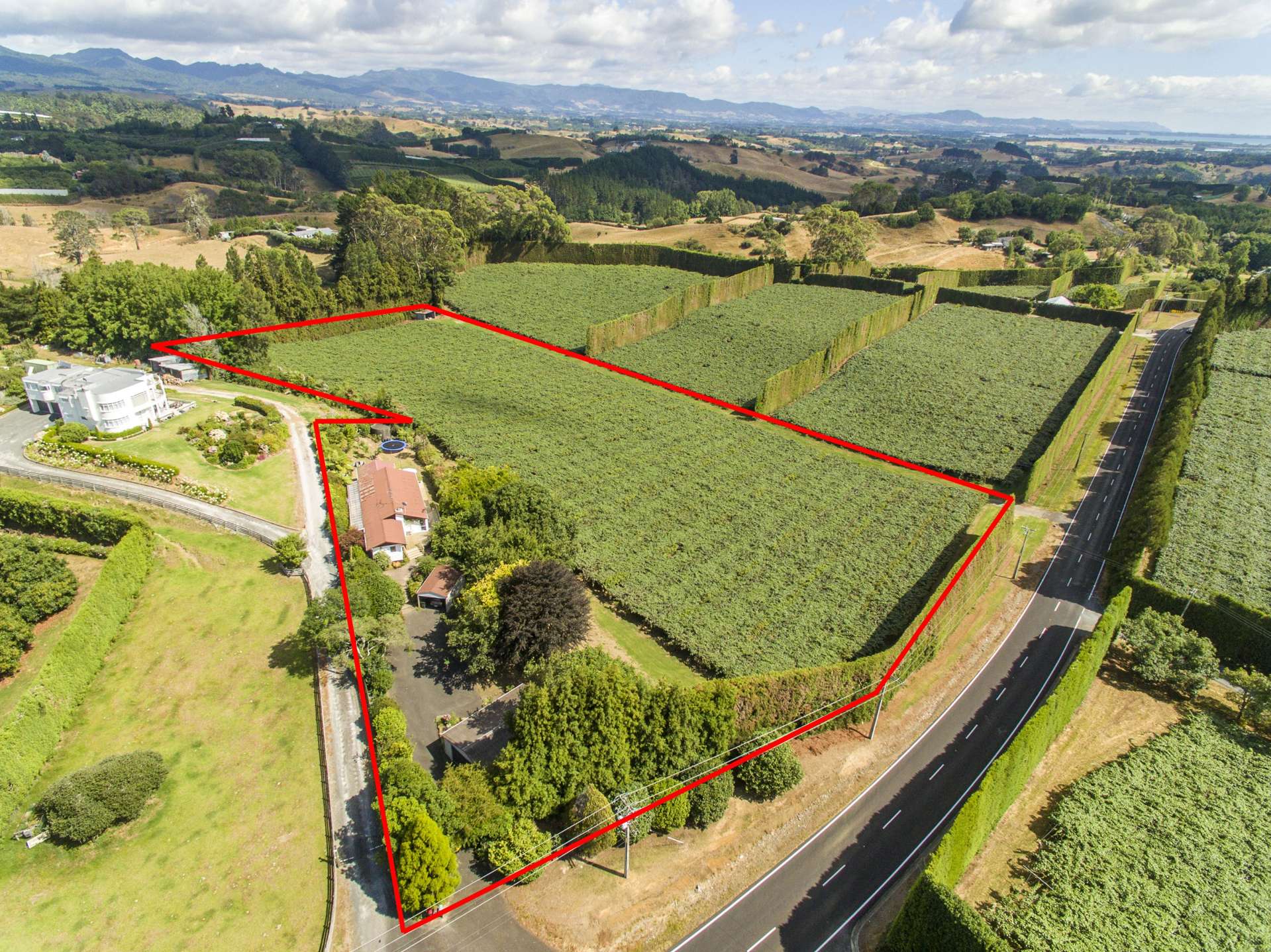 334 Esdaile Road Whakamarama_0