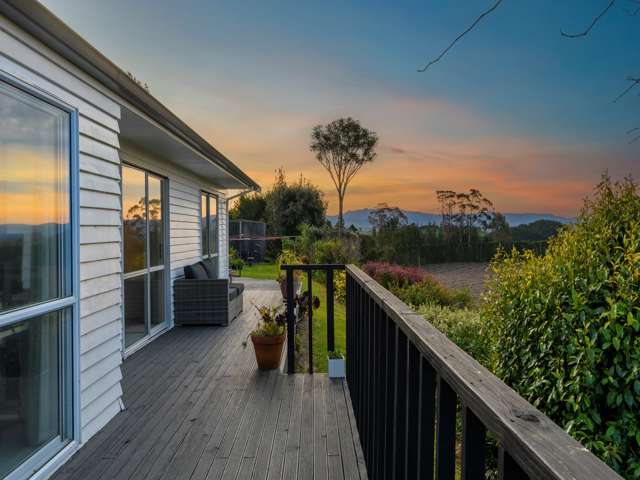 334 Esdaile Road Whakamarama_1