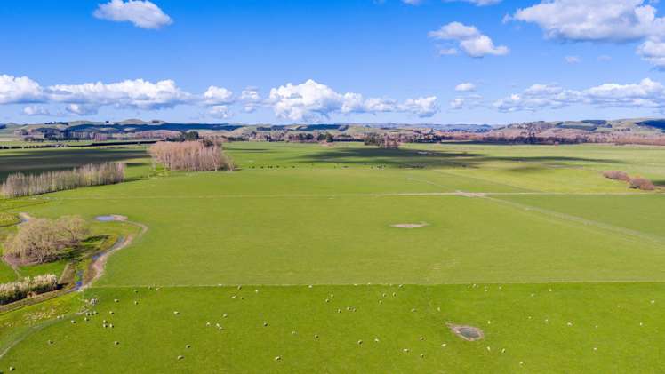 337 Ongaonga Waipukurau Road Ongaonga_13