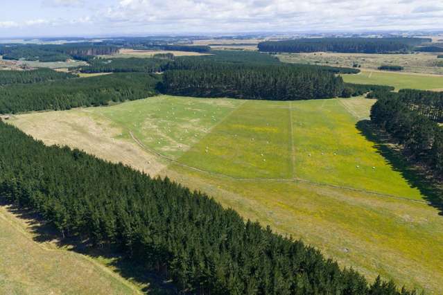 590 Brandon Hall Road Bulls_4