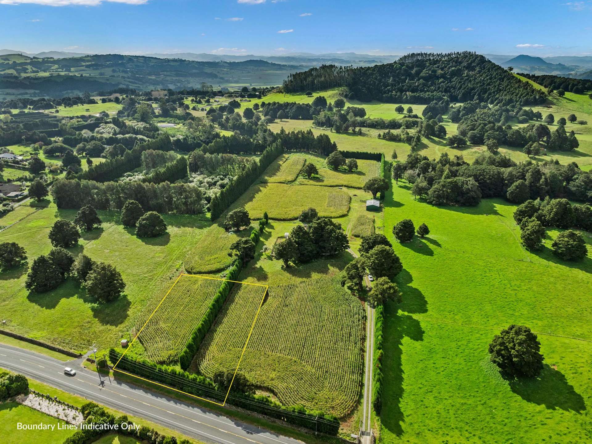 Lot 1/397 Three Mile Bush Road Te Kamo_0