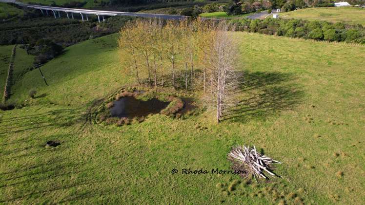 113 Te Rawhiti Road Matakohe_27