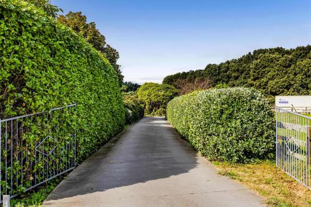 515 Carrington Road Hurworth_4