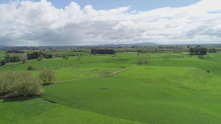 802 Kakahu Road Tapapa_17