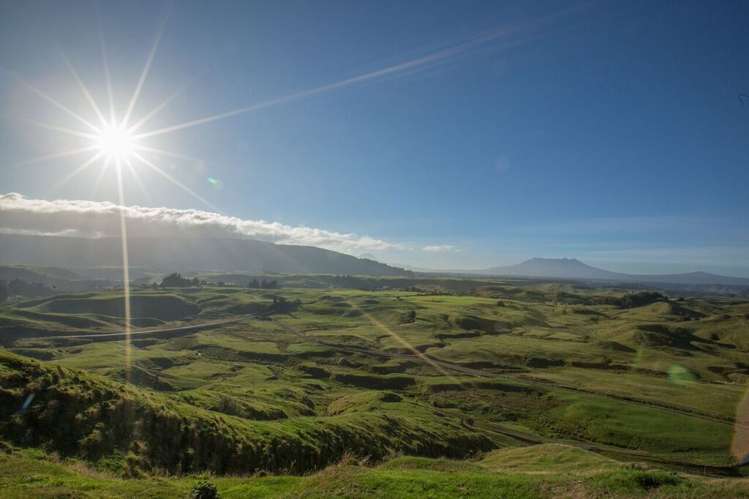 2491 State Highway 4 Owhango_15