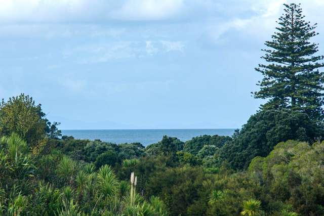 8 Luff Place Long Bay_2