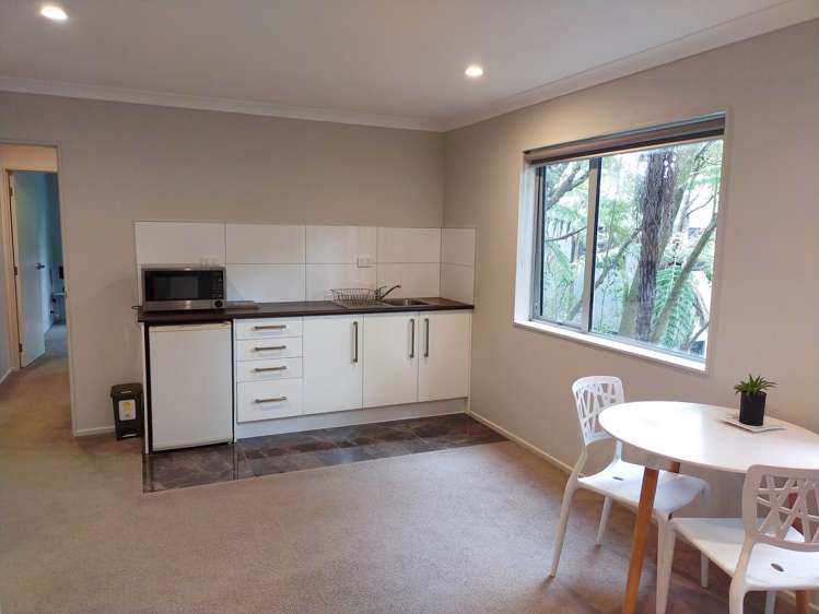 40g Konini Road Titirangi_1