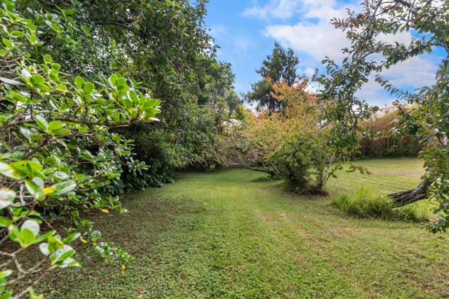 59 Seabrook Avenue New Lynn_4