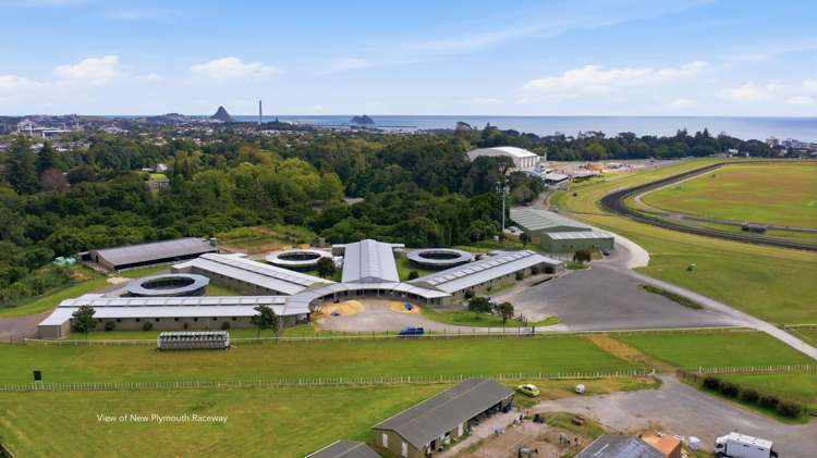 16 Maranui Street Welbourn_23