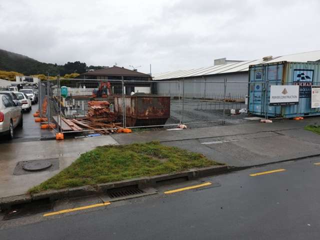 14 Gregory Street Naenae_1