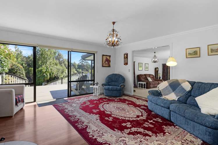 274 Hot Springs Road Tahawai_24