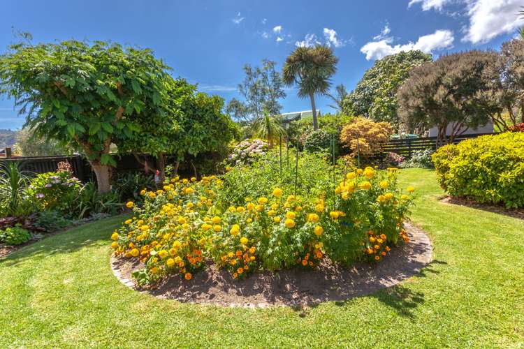 213 Tony Avenue Thames_25