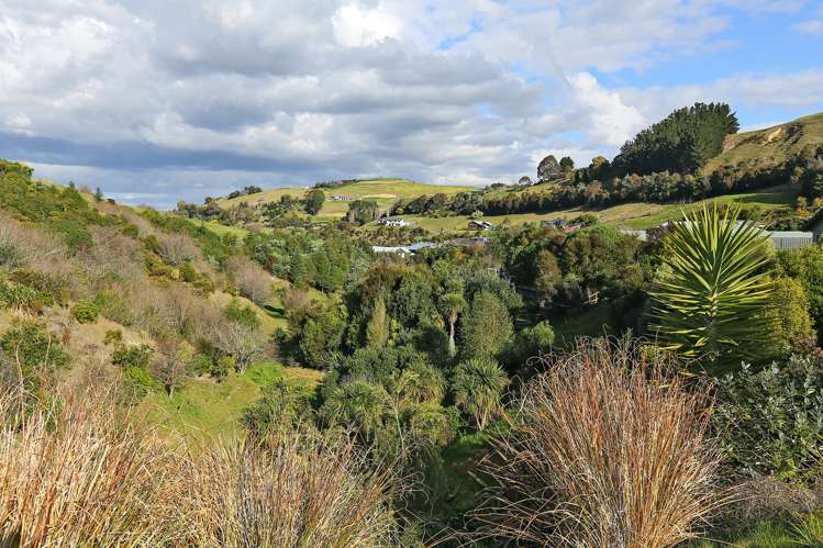 137 Kent Terrace Taradale_22