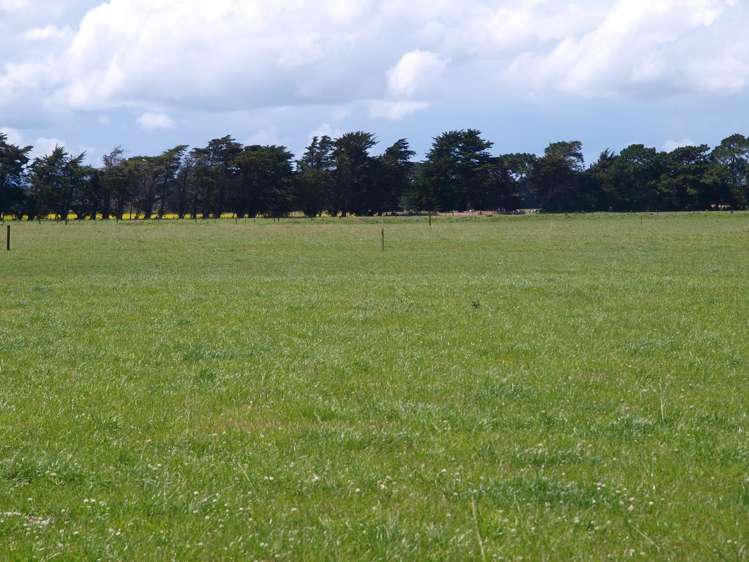 238 Kumenga Road Featherston_11