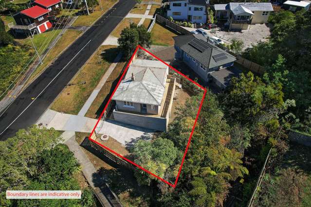 101 Seabrook Avenue New Lynn_4