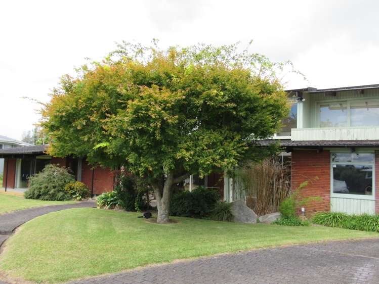 76 North Street Morrinsville_25